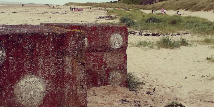 Dice at Bamburgh Castle beach