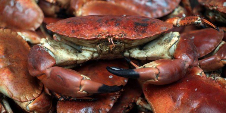 Family business in Seahouses