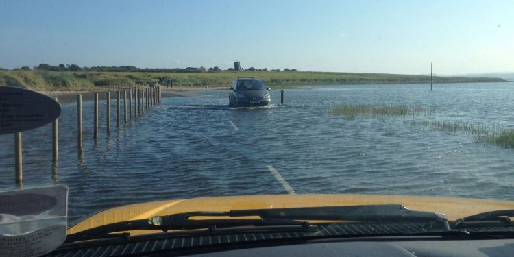 Motorist tries to cross