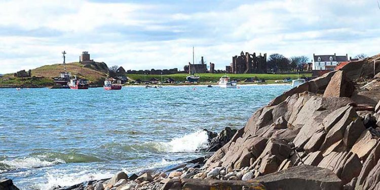 Holy Island Harbour