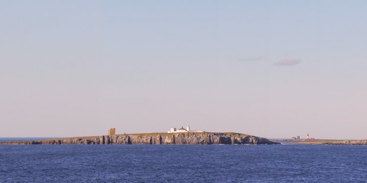 The Farne Islands