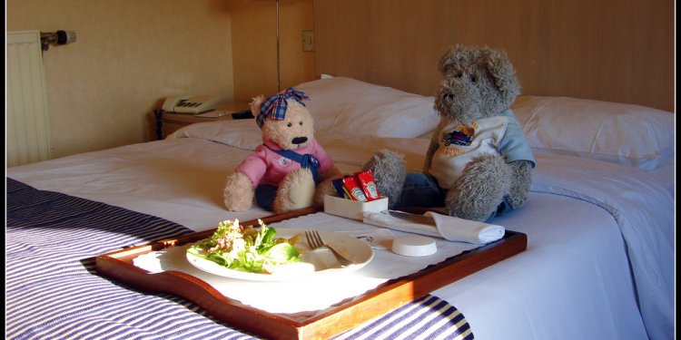 Valentines Day, bear-style in a hotel in Northumberland