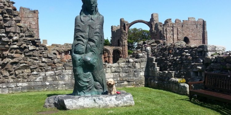 Zuki visits Lindisfarne