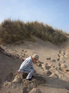 beaches of Northumberland