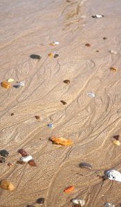 Most Readily Useful Northumberland Beaches