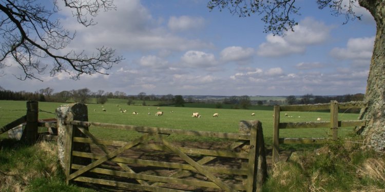 Northumberland coastal hotels