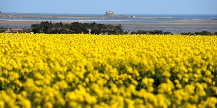 Weather Holy Island Northumberland