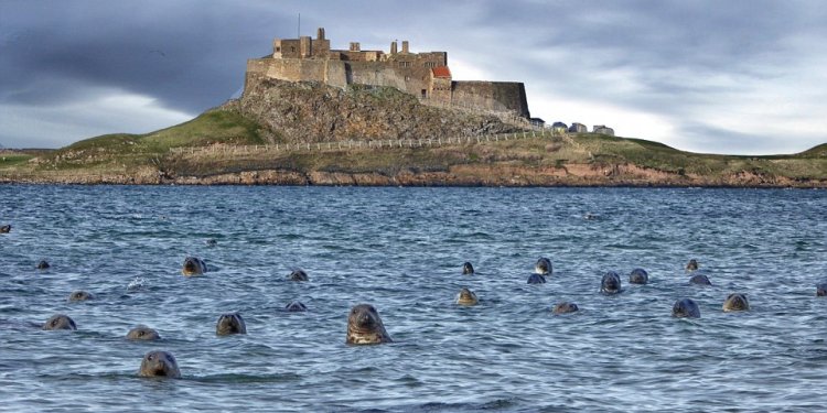 Lindisfarne