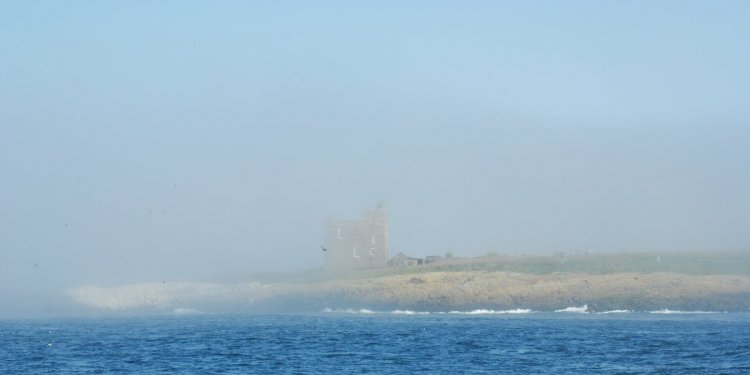 Boat trips to Farne Islands