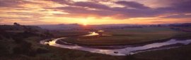 The River Aln at Foxton, within the Alnwick area of Northumberland