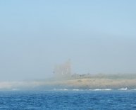 Boat trips to Farne Islands