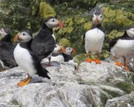 Breakfast Seahouses United Kingdom