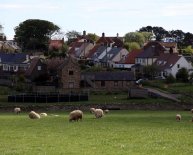 Holiday Homes for sale Northumberland coast