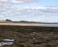 Macbeth Bamburgh Castle