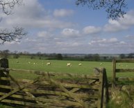 Northumberland coastal hotels