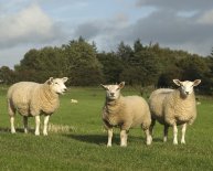 Northumberland, United Kingdom
