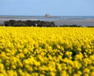 Weather Holy Island Northumberland