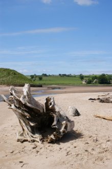 Walking the Northumberland Coast Path