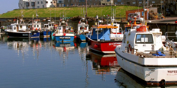 Things to do in Seahouses