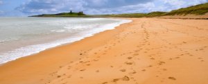 Beadnell cottages