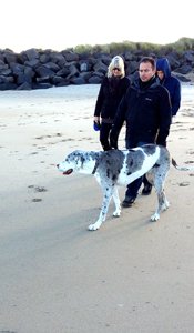 Dogs enjoy on Northumberland Beaches All Year Round