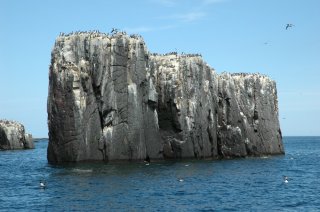 Farne Islands Pinnacles