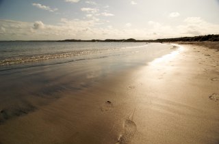 Footprints in sand at Beadnell Bay - Photo by title=