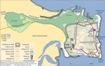 Map of Lindisfarne these days (priory damages in southwest part of area); Yellow places are mudflats at low wave, causeway is covered at high-tide; picture courtesy of 