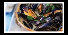 mussels-front-page-Small