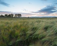 Caravans in Northumberland